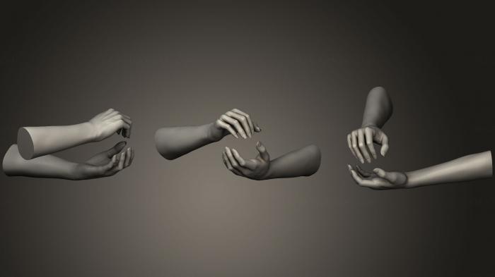 نموذج ثلاثي الأبعاد لآلة CNC تشريح الهياكل العظمية والجماجم الأيدي النسائية 16